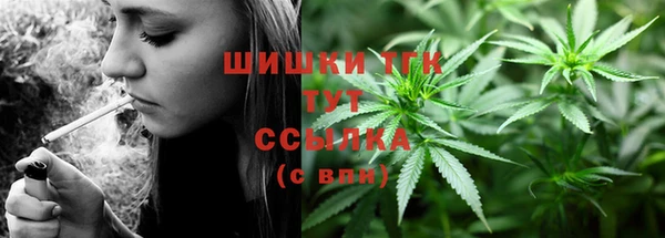 дживик Верея