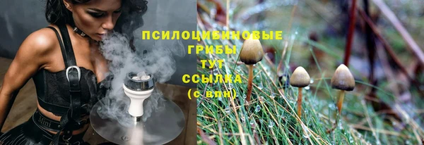 дживик Верея